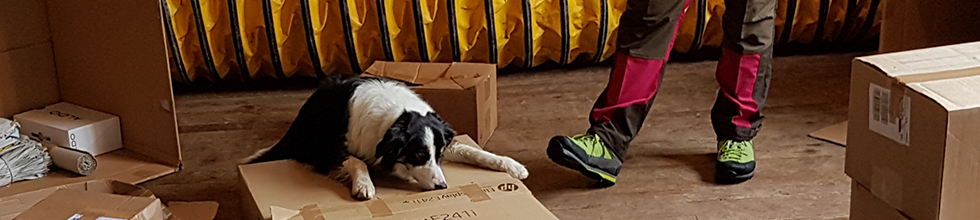 SchaSu Training Spezial