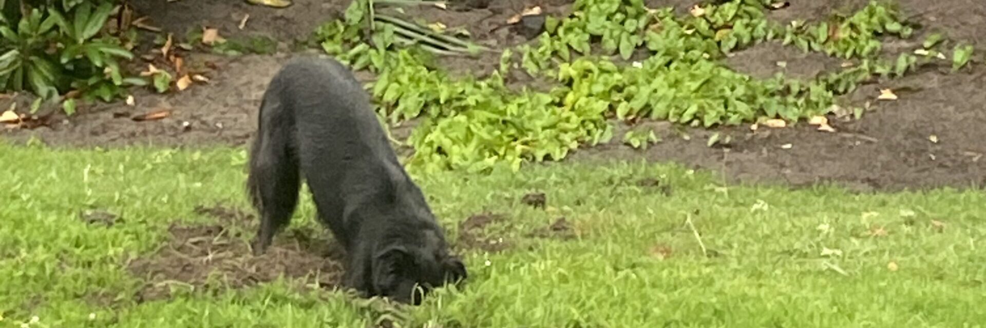 Individuelle Begleitung