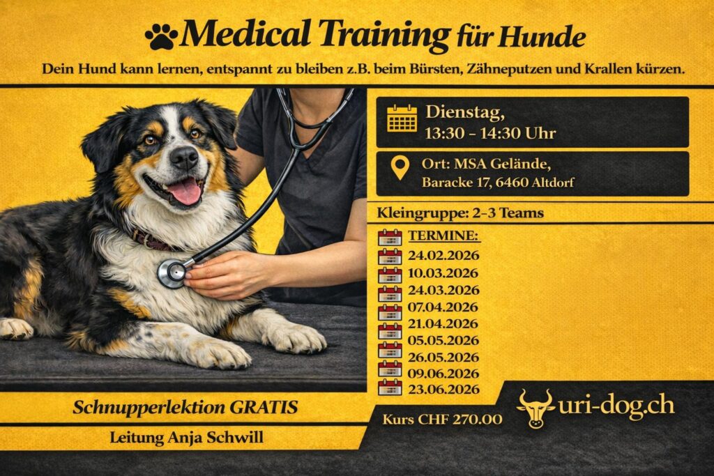 Medical Training für Hunde