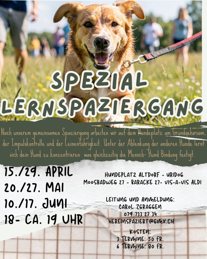 Spezial Lernspaziergang